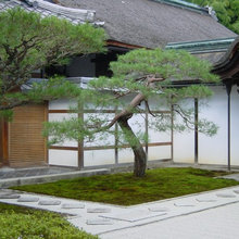 Landscaping Project