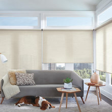 Window Treatment