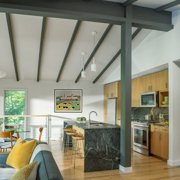 Wooded Lake House Renovation