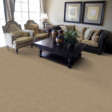 Carpet/paint