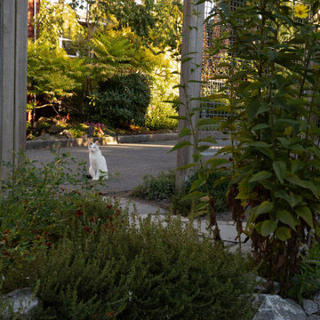 Anderson Gardens, 20 Years Later