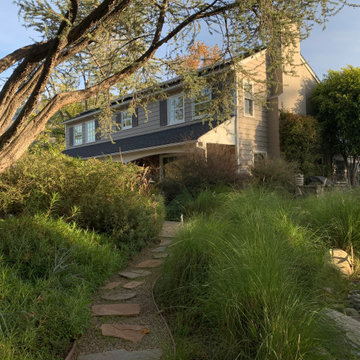 California Craftsman Forest - 5 Years Later