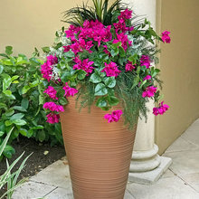 Planters