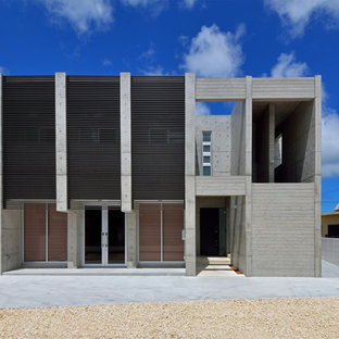 他の地域のインダストリアルスタイルのおしゃれな家の外観 (コンクリートサイディング、グレーの外壁) の写真