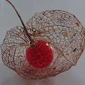 Fiona Schumacher's photo