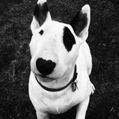 Leone Murphy's photo