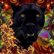 Gina Marfeo's photo