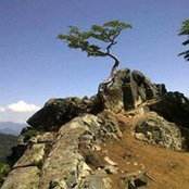 Foto de Osmare FS