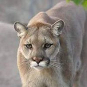 Gary Selmes's photo