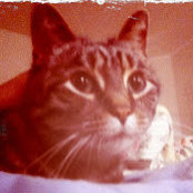 Foto de lyb lyb