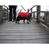Valerie Stephens's photo