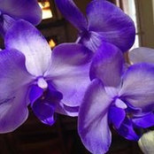 Patrice Secrist's photo