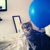 Diana Miranda's photo