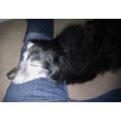 Sandy Kohler's photo