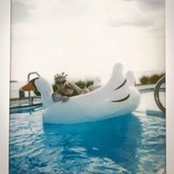 Alie Rothman's photo
