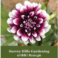 Surrey Hills Gardening
