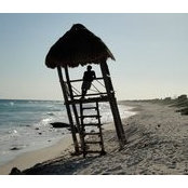 Richard Chang's photo