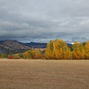 Kiesa Brooks's photo