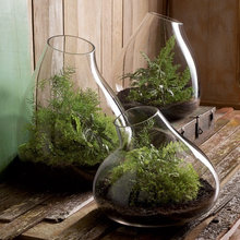 Ideas...