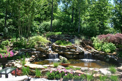 Inspiration for a traditional landscaping in Other.