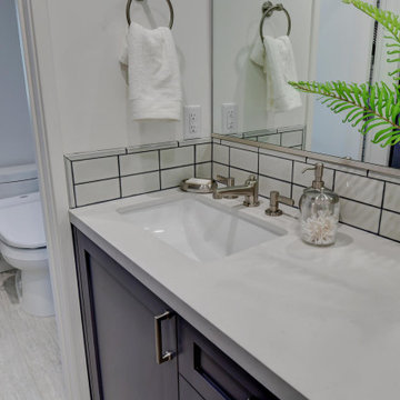 Mastersuite and Hall Bathroom Remodel