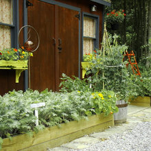 Exterior Ideas