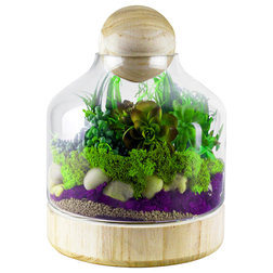 Contemporary Terrariums by MODERN VASE & GIFT
