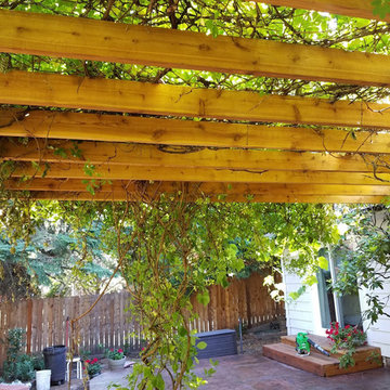 Trellis