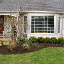 Front Landscaping