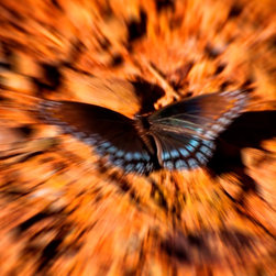 Abstract Fine Art Photography - Fine Art Prints