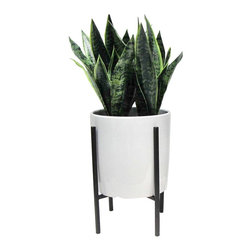 Artificial Plant in Stand Large - Threshold&trade; - Products
