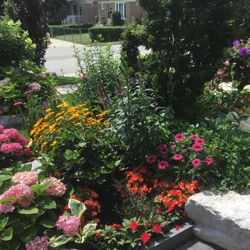 Garden With Bursting Colour