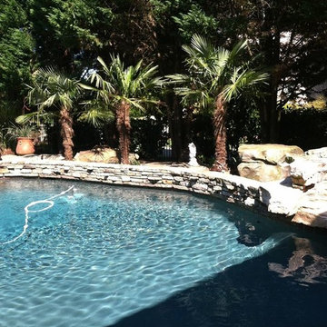 Palm Trees