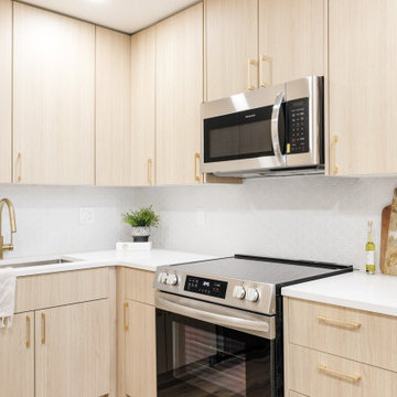 Platt Park Full Home Renovation