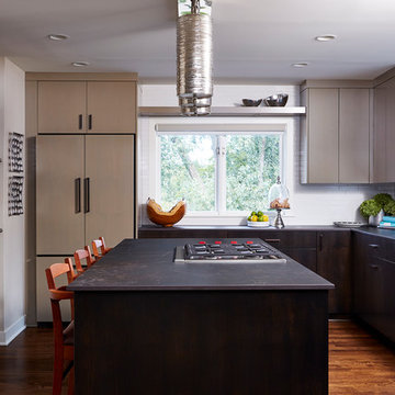 Contemporary Minneapolis Townhouse