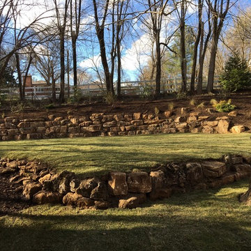 Backyard Transformation