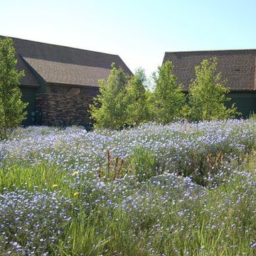 Artist Sanctuary