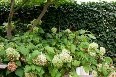 Klassischer Garten in Düsseldorf