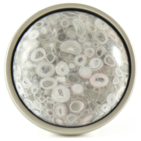 Sea Fossil Stone Knob