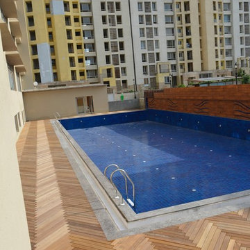 dps international gurgaon sector 50