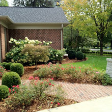Landscape Ideas