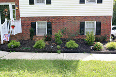 Need help with Shade & Sun Garden