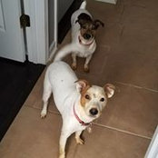 Sabrina Fogleman's photo