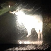 John Mc Grath's photo