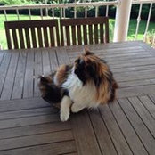 Sevda Kızılırmak's photo