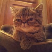 Sondra Roberts's photo
