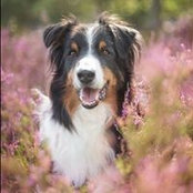 Heidrun Herrmann's photo