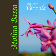 Foto di Molina Bassa Soc. Agr. Vezzola