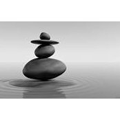 Sonya Droguett's photo