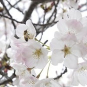 Raven Darnall's photo